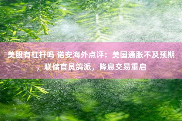 美股有杠杆吗 诺安海外点评：美国通胀不及预期，联储官员鸽派，降息交易重启