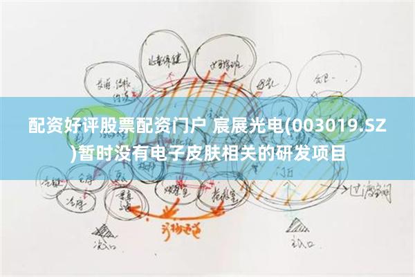 配资好评股票配资门户 宸展光电(003019.SZ)暂时没有电子皮肤相关的研发项目