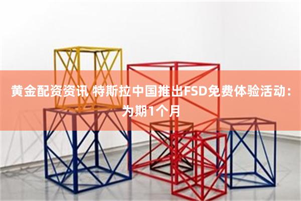黄金配资资讯 特斯拉中国推出FSD免费体验活动：为期1个月