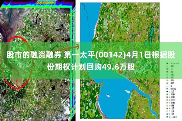 股市的融资融券 第一太平(00142)4月1日根据股份期权计划回购49.6万股