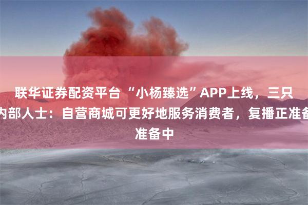 联华证券配资平台 “小杨臻选”APP上线，三只羊内部人士：自营商城可更好地服务消费者，复播正准备中