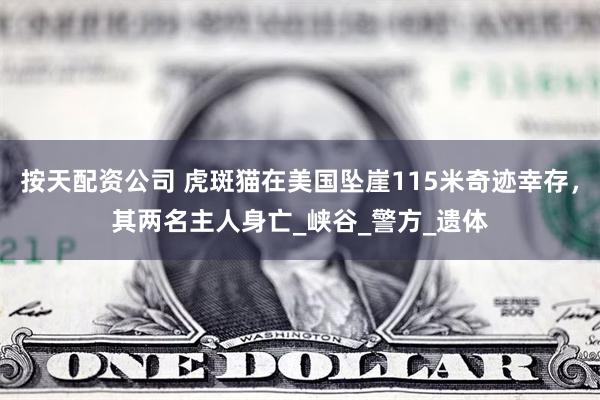 按天配资公司 虎斑猫在美国坠崖115米奇迹幸存，其两名主人身亡_峡谷_警方_遗体