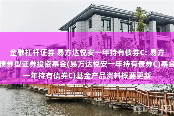 金融杠杆证券 易方达悦安一年持有债券C: 易方达悦安一年持有期债券型证券投资基金(易方达悦安一年持有债券C)基金产品资料概要更新