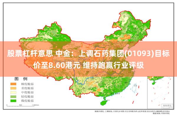 股票杠杆意思 中金：上调石药集团(01093)目标价至8.60港元 维持跑赢行业评级