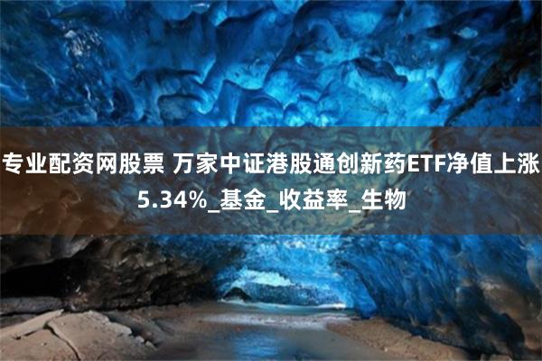 专业配资网股票 万家中证港股通创新药ETF净值上涨5.34%_基金_收益率_生物