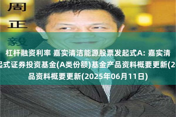 杠杆融资利率 嘉实清洁能源股票发起式A: 嘉实清洁能源股票型发起式证券投资基金(A类份额)基金产品资料概要更新(2025年06月11日)
