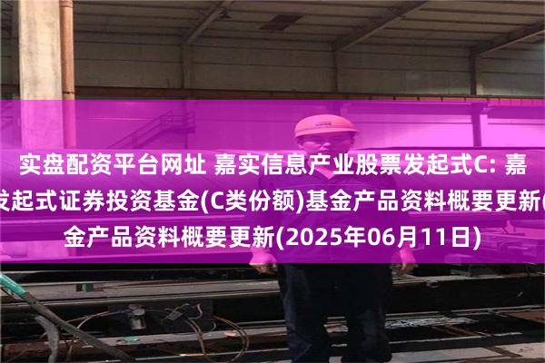 实盘配资平台网址 嘉实信息产业股票发起式C: 嘉实信息产业股票型发起式证券投资基金(C类份额)基金产品资料概要更新(2025年06月11日)