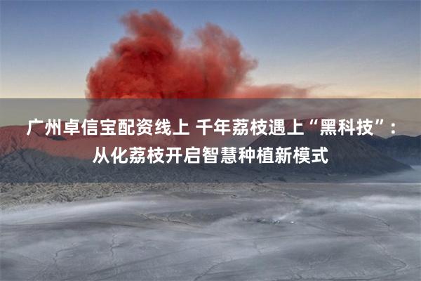 广州卓信宝配资线上 千年荔枝遇上“黑科技”：从化荔枝开启智慧种植新模式