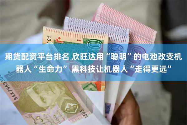 期货配资平台排名 欣旺达用“聪明”的电池改变机器人“生命力” 黑科技让机器人“走得更远”