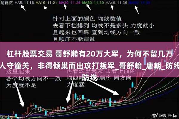 杠杆股票交易 哥舒瀚有20万大军，为何不留几万人守潼关，非得倾巢而出攻打叛军_哥舒翰_唐朝_防线